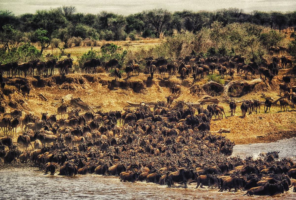 Entebbe – Parque Nacional Queen Elizabeth