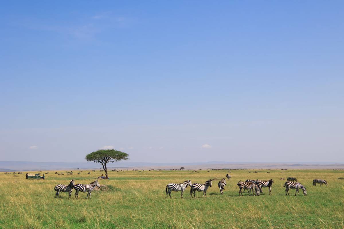 Día completo en Masai Mara
